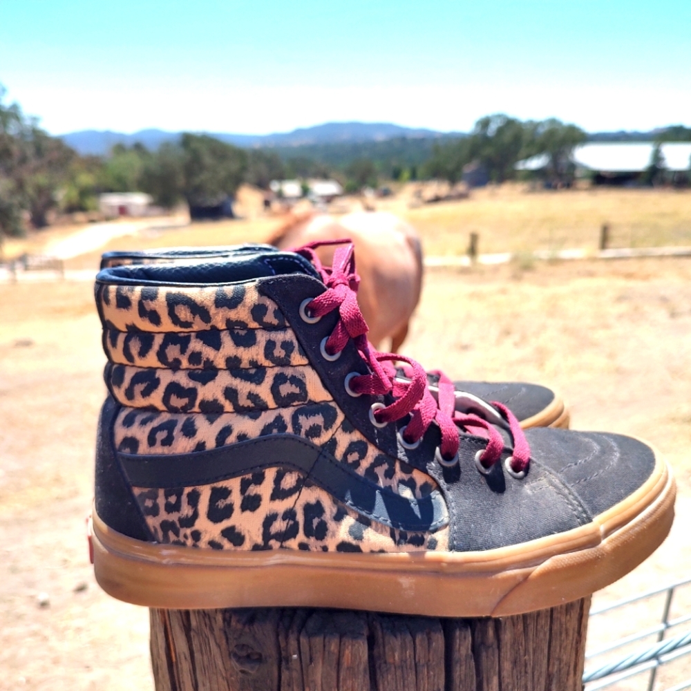 Custom High Top Vans